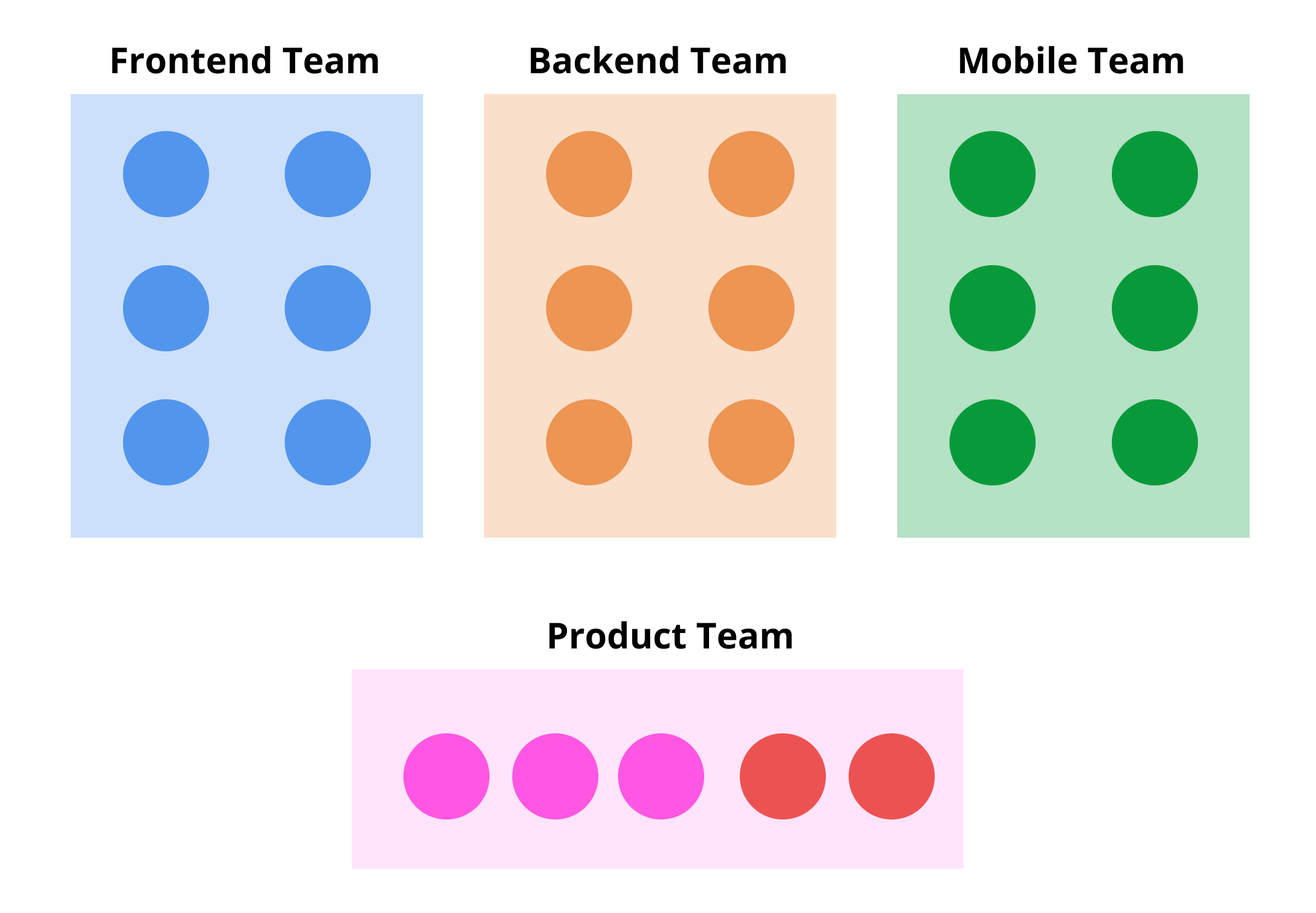 Startup team organisation